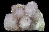 Cactus Quartz (Amethyst) Crystal Cluster - South Africa #134331-1